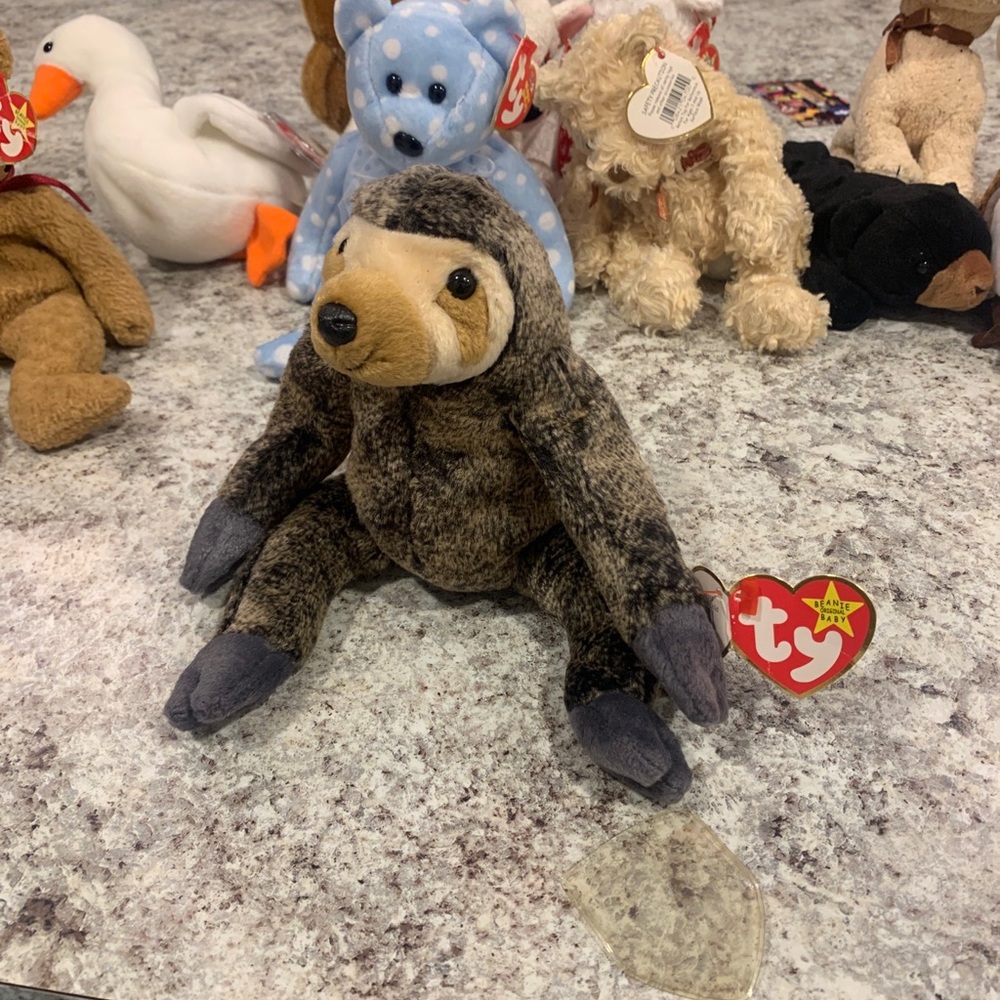 Ty Beanie Baby Slowpoke the Sloth with Tags 1999 Retired Vintage Collectible